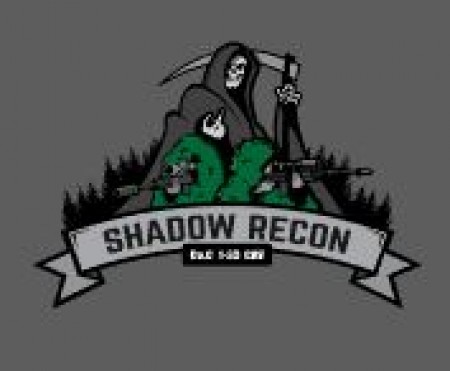 1-33 Cav Shadow Recon Decal  