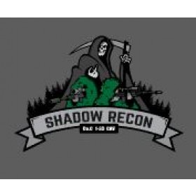 1-33 Cav Shadow Recon Decal  